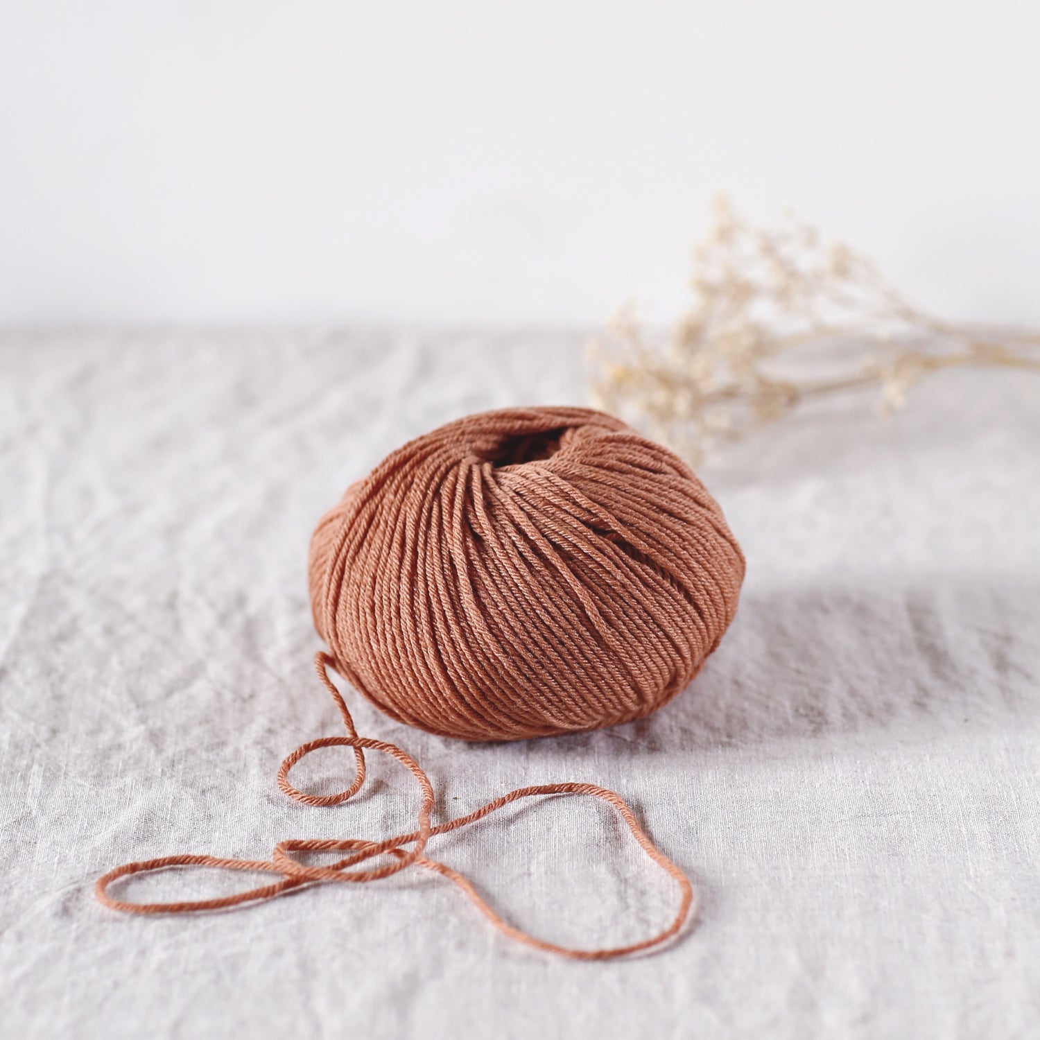 Pénélope - de Rerum Natura