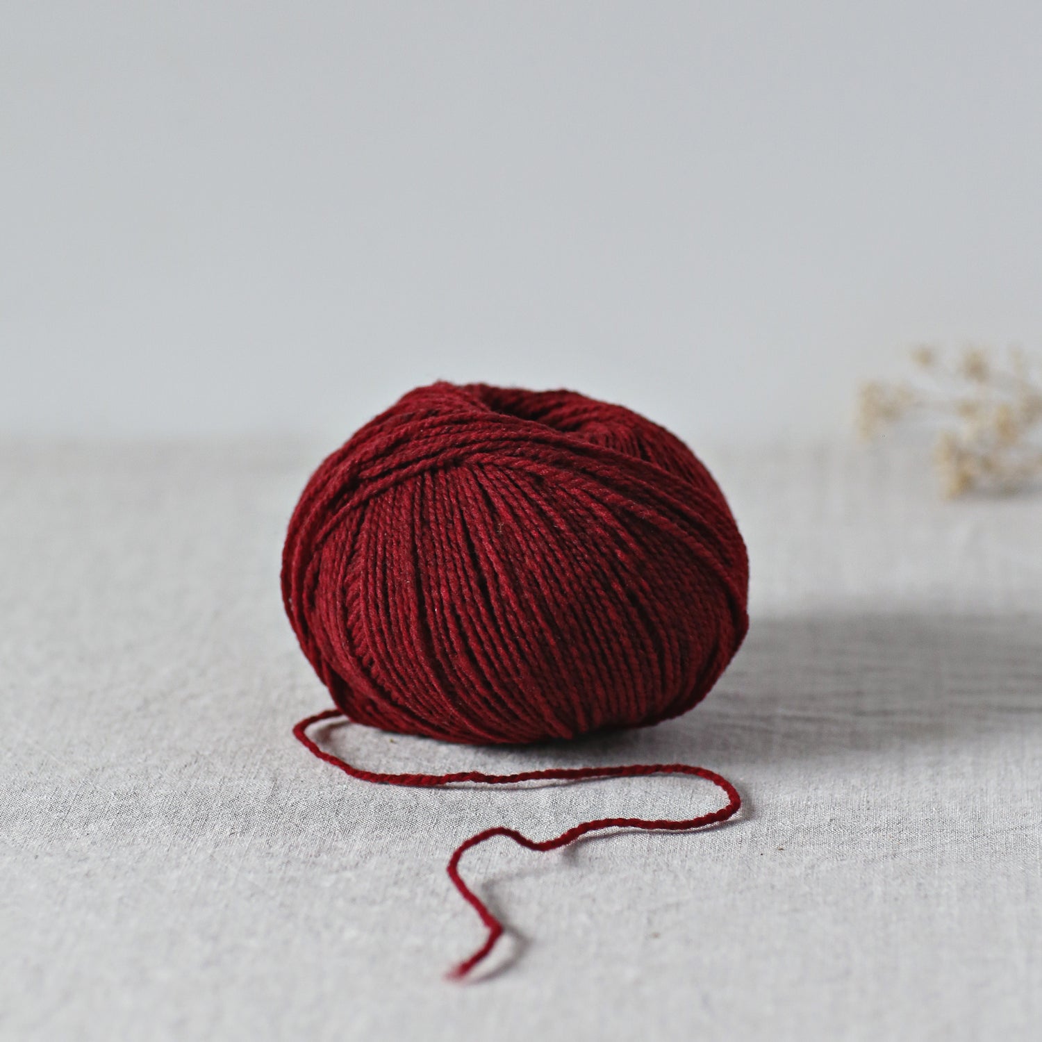 Ulysse - De Rerum Natura