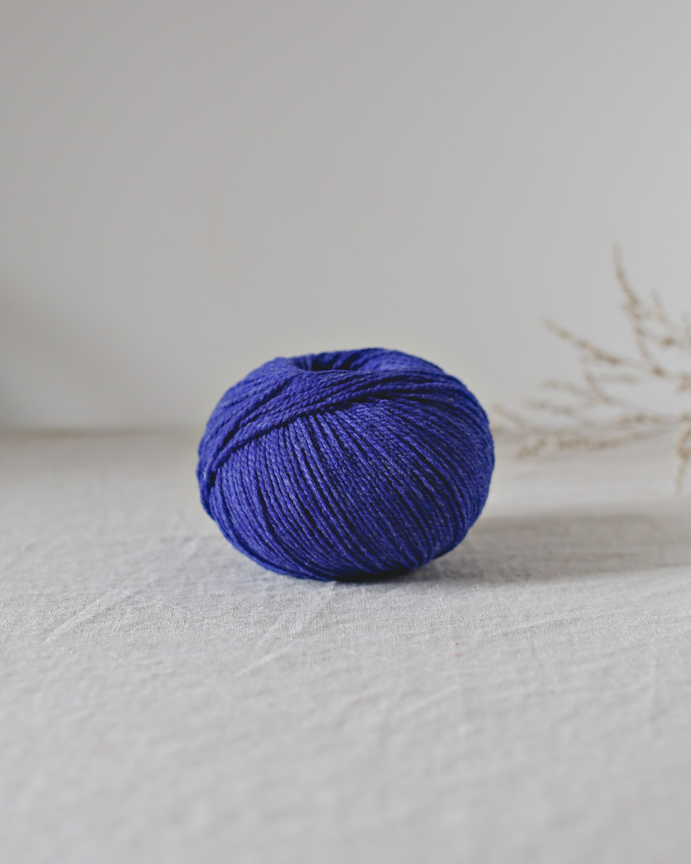 Ulysse - De Rerum Natura